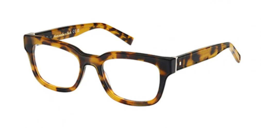 ABERCROMBIE & FITCH 50068 Eyeglasses - view 2